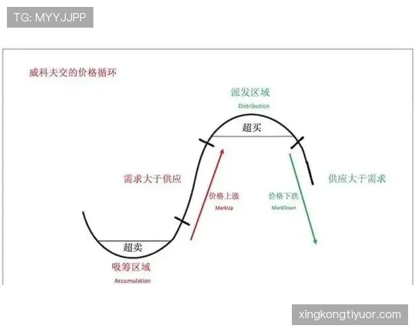 拉菲尼亚与安东尼：进攻效率及决策能力对比分析