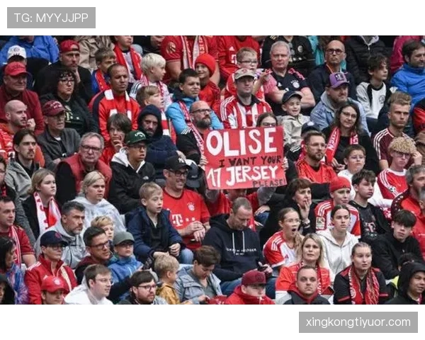 奥利塞发展路径与定位合理性分析