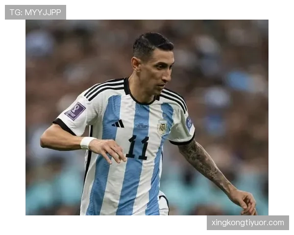 安赫尔·迪马利亚：法甲冠军核心成员持续贡献