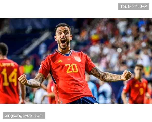 博努奇与皮克防线组织中的分散与集中结构演变分析